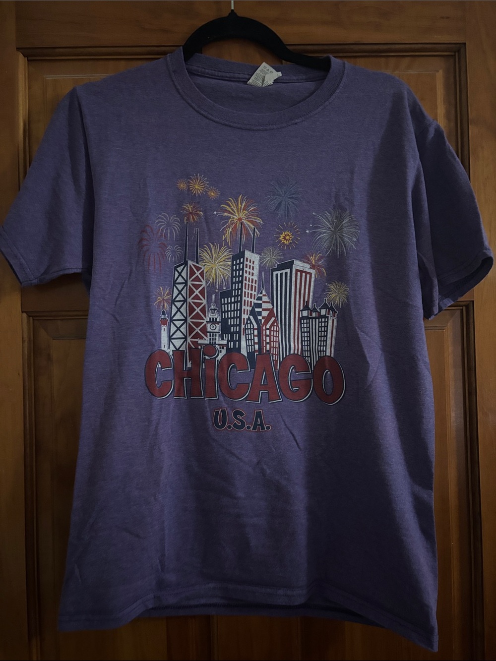 Fruit of the Loom Purple Chicago Skyline Graphic Tee